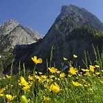 Landgasthof Mauth 招待所