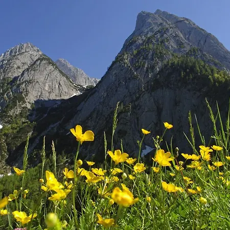 Landgasthof Mauth Affittacamere